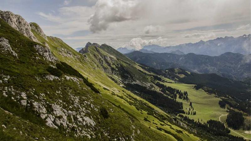 tv1988影院-爱情片影视片段